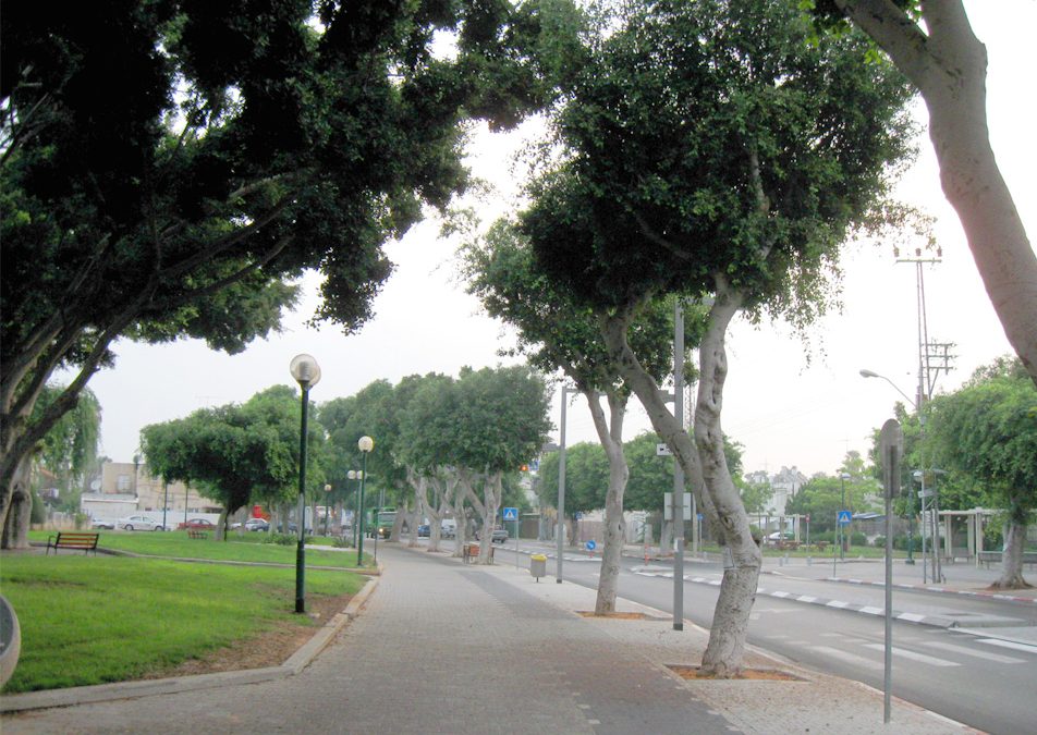 רונן שטרית יממש מגרש בדרום ת"א ברווח של 8 מ' ש' תוך שנה